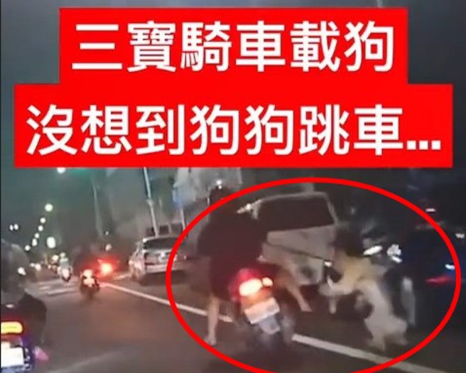 狗狗跳車後，因為牽繩綁在後照鏡，造成狗主人也跟著摔車。（翻攝爆料公社）