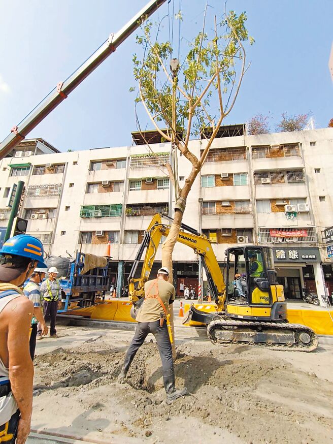 高雄環狀輕軌預計年底成圓，市府捷運局及統包團隊12日現勘鐵道一街雨豆樹補植過程。捷運局表示，輕軌原本206棵雨豆樹採以站就樹原地保留，沿線也計畫補植112株雨豆樹，維持大順路段樹蔭蔥蘢意象，提升沿線景觀也增加遮蔭功能。（高市捷運局提供／楊舒婷高雄傳真）