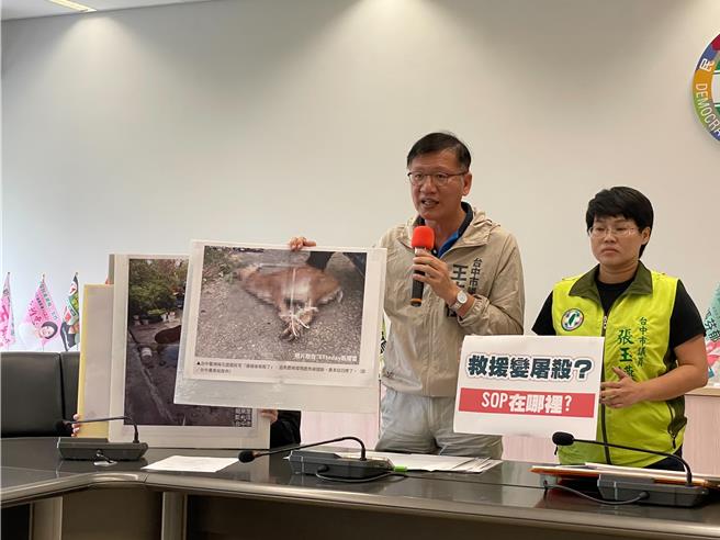 台中市议员王立任、张玉嬿怒批龙井梅花鹿事件报告疑点重重，要求农业局说明清楚。（张亦惠摄）