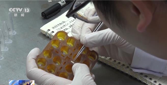 中国太空站第五批实验样品展开研究探索太空辐射暴露实验新发现。（大陆央视）