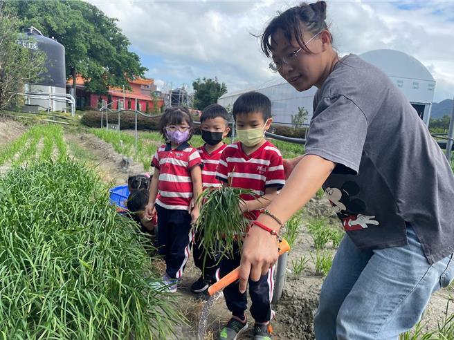汤佩璇（右一）今年加入桃园市农业局青农友善辅导计画，致力打破韭菜惯行农法，也发展食农与环境教育。（汤佩璇提供／吕筱蝉桃园传真）