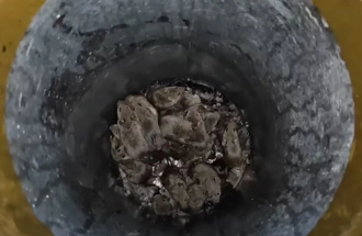 乌克兰士兵面对新敌军：数百万只老鼠无处不在 