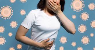 嘉義增2起副傷寒全台累計18例 疑吃「沒熟食物」引起