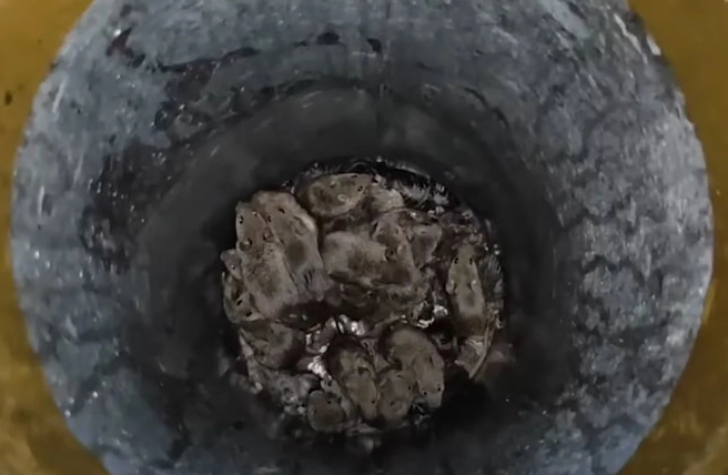 烏克蘭士兵用最簡單的「水桶捕鼠法」，一晚上就可以捕到這麼多老鼠。(圖/Defense Blog) 