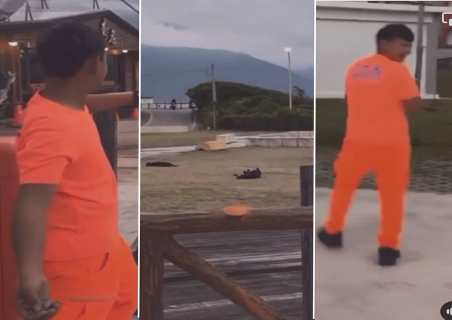網路流傳的影片，海巡人員對流浪狗丟石頭。（組合照、翻攝爆料公社）