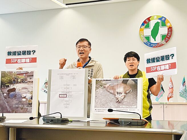 上月24日发生1只梅花鹿闯进台中市1间民宅的事件，委外厂商原先通报鹿只死亡，后续又改口鹿只復活放生，台中市议员王立任（左）、张玉嬿（右）14日开记者会，要求市府说清楚。（张亦惠摄）