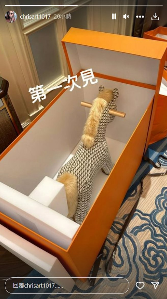 李龙基未婚妻晒出儿童玩具。(图/Chris Wong IG)