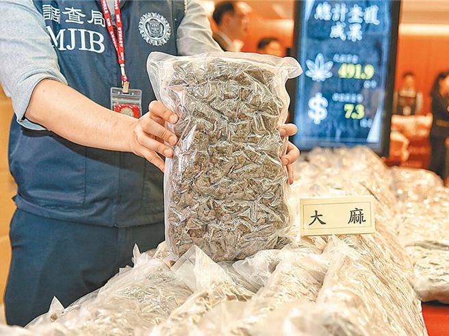 国内吸食第2级毒品大麻逐年严重。（本报资料照片）（吸毒害人害己）