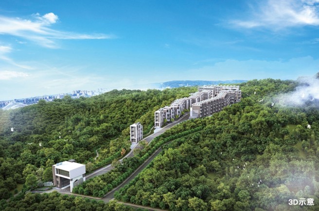 与树为邻的青鸟之森，坐拥3000坪大基地。(图为3D示意图/业者提供)

