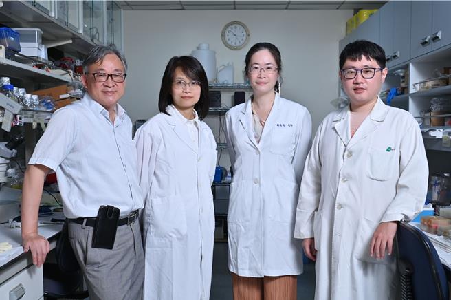 陽明交大腦科學研究中心與台北榮總在治療視神經病變取得重要突破，研究團隊成功將人類誘導性多功能幹細胞，分化為「類」視網膜神經節細胞，這項類細胞有助於用來尋找治療青光眼等視神經病變的藥物。(陽明交大提供)