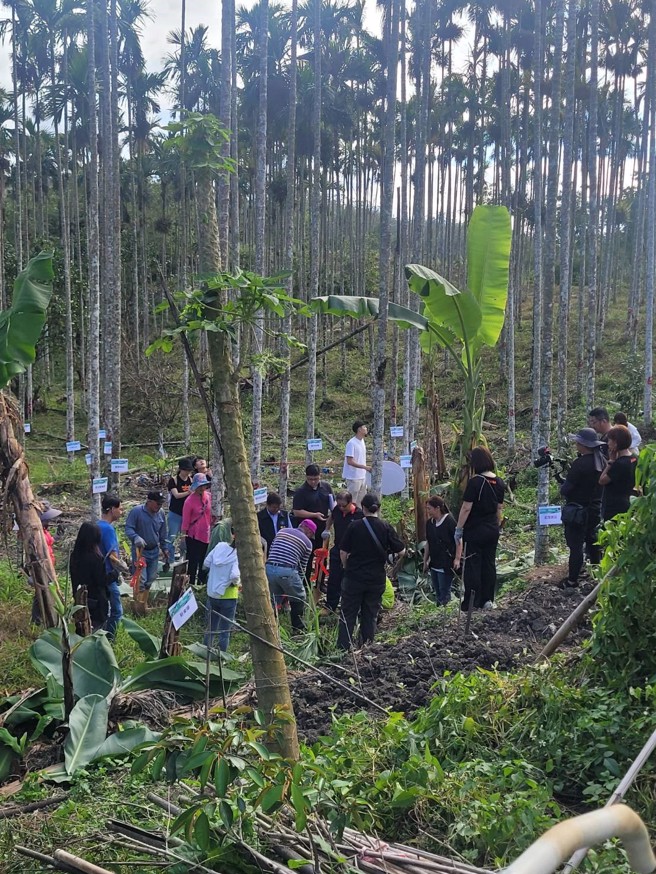 84家知名企业于臺东池上乡的槟榔废园亲手种下1,111棵树 (薛新佑提供)
