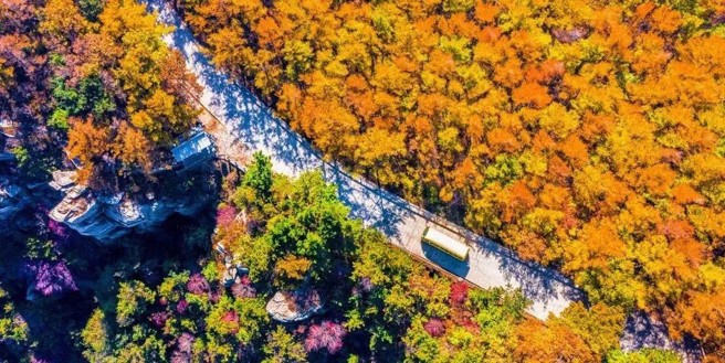 （图／文旅临沂）