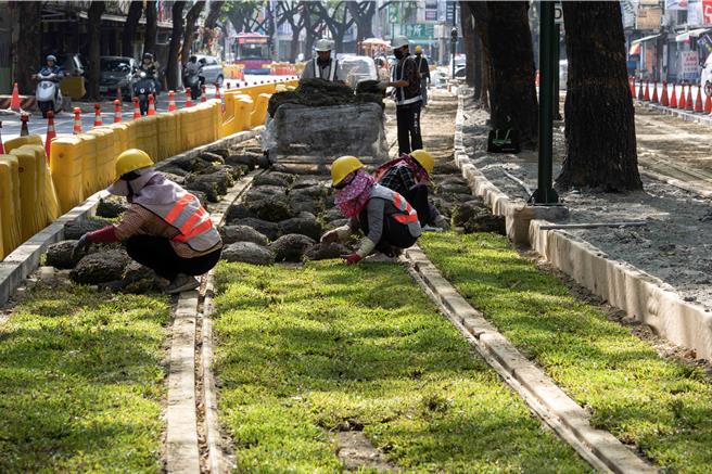 高雄市捷運工程局除測試工作持續外，施工團隊已陸續在輕軌路廊種植草皮及綠籬，要拚明年元旦通車。（捷運工程局提供／任義宇高雄傳真）