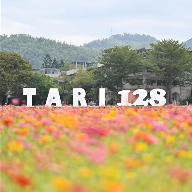 农业部农业试验所迎来128周年，将于18日举办农试所所庆带领民眾认识农业，现场设置超美花海，让民眾赏花、拍美照。（农试所提供／潘虹恩台中传真）