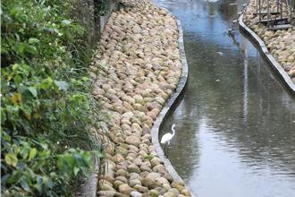 基隆議長童子瑋會勘南榮河整治 魚群水鳥回歸