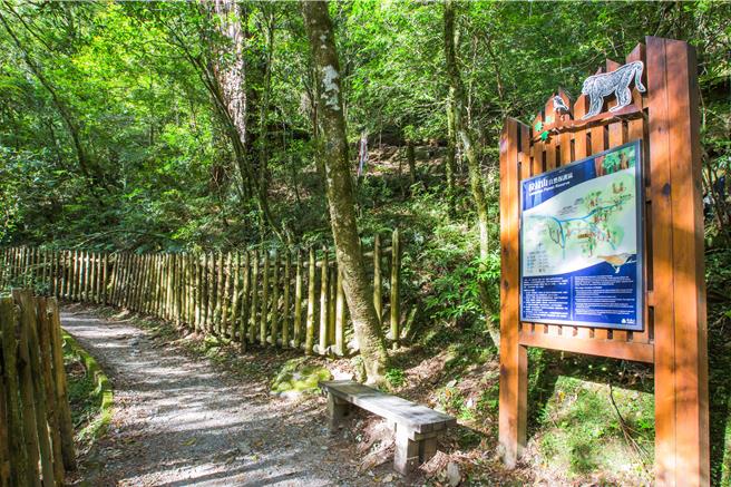 北橫國家風景區申請計畫已提報交通部觀光署，但部分評鑑委員認為應將石門水庫、國家森林遊樂區應排除在外，目前畫設範圍卡關中。圖為拉拉山森林遊樂區。（桃園市觀旅局提供／陳夢茹桃園傳真）