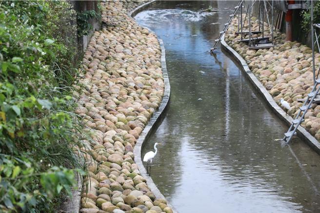 基隆市南荣河的水质改善工程接近完工，已可见有水鸟与鱼开始栖息，成效卓着。（童子玮办公室提供／徐佑升基隆传真）