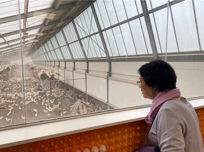 彰化县长王惠美特地率队前往荷兰的Kipster蛋鸡场取经，探讨友善鸡蛋产业及如何平衡生产效益与动物福利。（彰化县政府提供／吴建辉彰化传真）