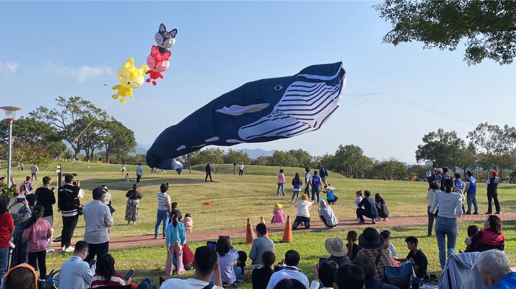 「后里有你『箏』好」親子活動19日在后里環保公園舉行，30米大型藍鯨風箏緩緩升空，民眾看得目瞪口呆。（立委楊瓊瓔服務處提供／陳淑娥台中傳真）