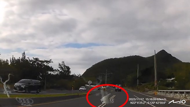 駕駛開車突然飛過來自殺的白鷺，車頭直接撞上。（翻攝爆料公社）