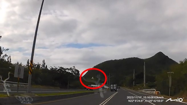 駕駛開車突然飛過來自殺的白鷺，車頭直接撞上。（翻攝爆料公社）