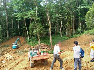 疫情影响生意惨淡 他动歪念窃占变卖50公吨林木下场惨