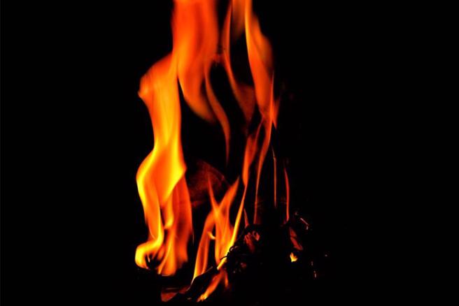 台南一間寵物店今天凌晨發生火警，10多隻汪星人葬身火窟。（示意圖／shutterstock）