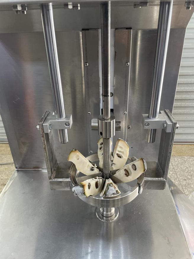 台东农改场研制的冷冻凤梨释迦削皮及分切加工机械，图：台东农改场提供