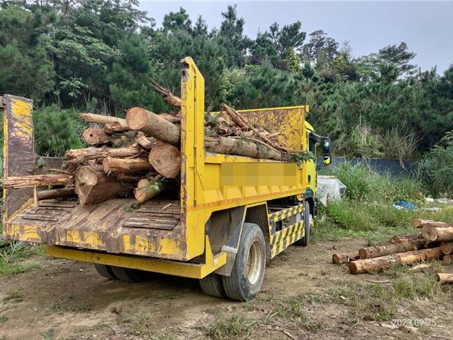 张嫌变卖50多公吨重的林木。（民眾提供／李京升苗栗传真）