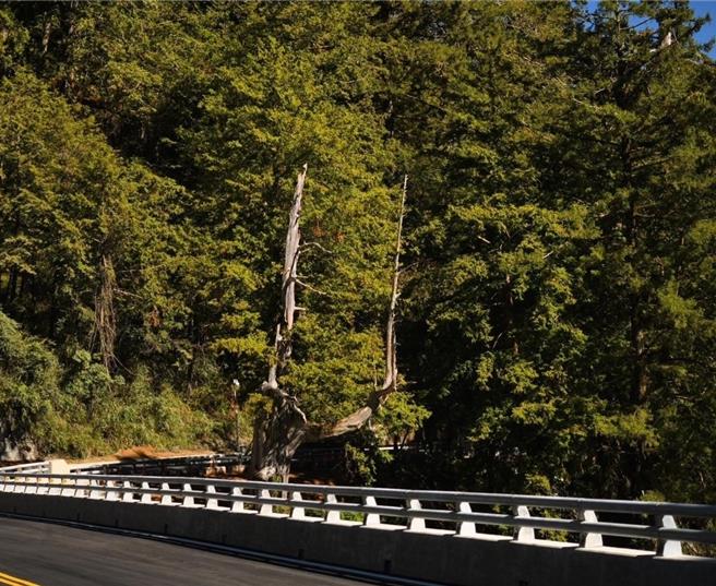 南区养护工程分局重建武雄桥（见图）兼具生态保护。（甲仙工务段提供／林瑞益高雄传真）