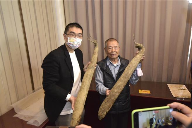 基隆市政府与农会合作，一年一度的山药大餐即将开卖，基隆市长谢国梁（左）与基隆市农会理事长余松次（右）共同展示基隆在地栽种的山药。（基隆市政府提供／张志康基隆传真）