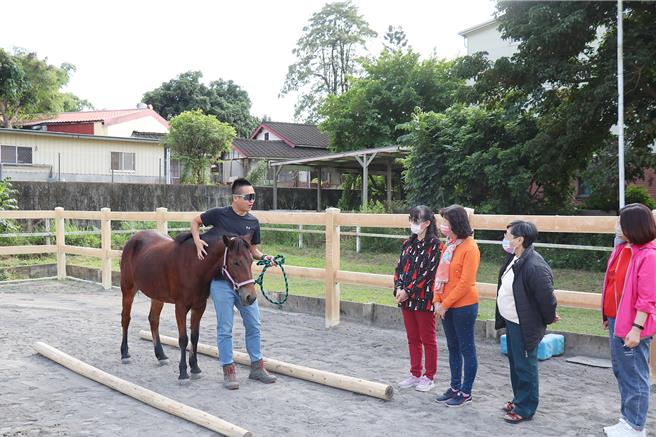 嘉义市长期照顾管理中心20日在幸福山丘举办喘息之旅，在教练指导下，家庭照顾者体验跟马匹互动。（嘉义市政府提供∕吕妍庭嘉义传真）