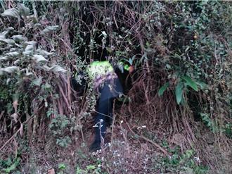 6旬翁獨攀石圍牆山卡陡峭山壁 警請他加line靠1招救人