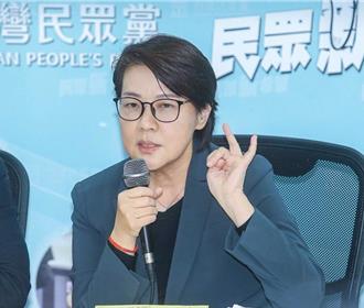 民眾党不分区「双黄」打头阵　保留柯P调整空间