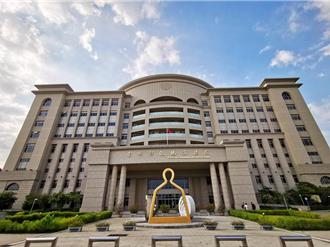 車手領走350萬才賺千元 倒賠300萬還被判1年8月