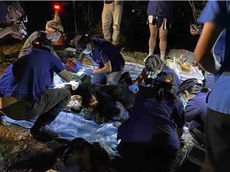 花蓮黑熊餓到剩60公斤 闖工寮抽搐急喘亡 死因曝光