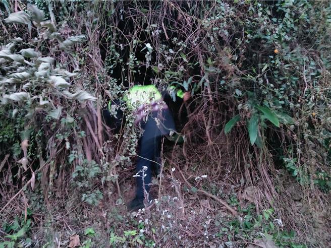 石城所所長蔡勝義到場後奮力拉樹藤往上爬接觸到人，最後順利將黃男救下山。 （警方提供）