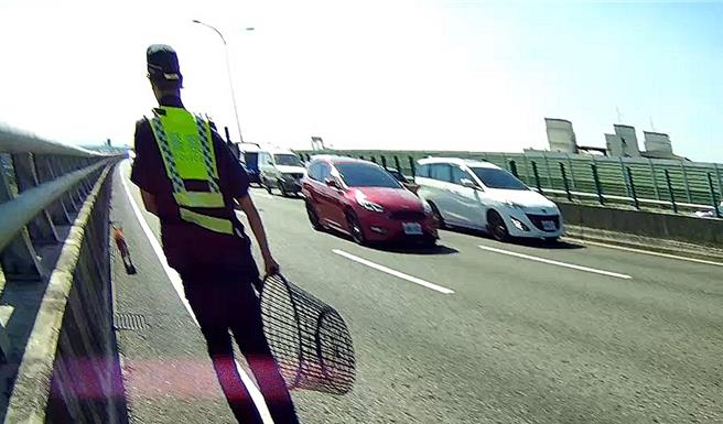 内新派出所员警日前在台74线车流中救援流浪犬。（雾峰警分局提供／冯惠宜台中传真）