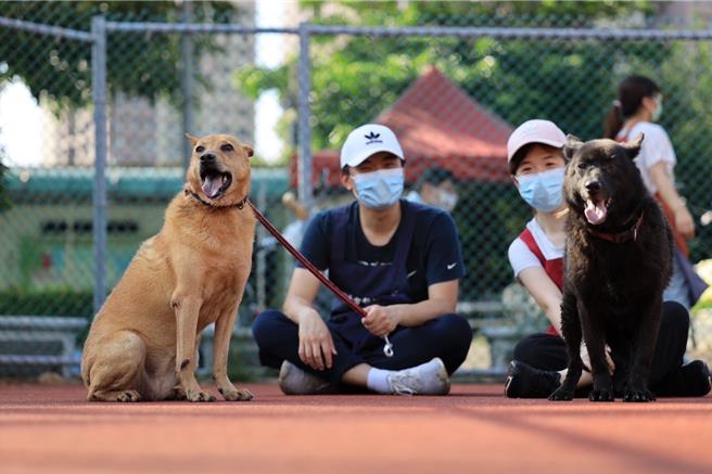 板桥动物之家志工李家齐（右）与周忠谚（左）纪录照顾毛宝贝的过程，将在婚礼上与亲友分享。（新北市动保处提供）