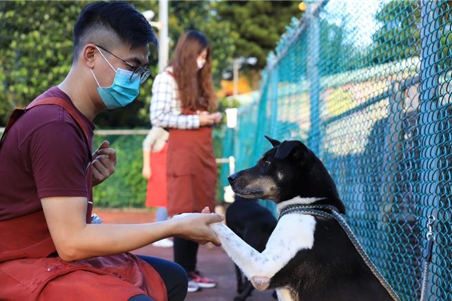 板桥动物之家志工李家齐（后）与周忠谚（前）纪录照顾毛宝贝的过程，将在婚礼上与亲友分享。（新北市动保处提供）