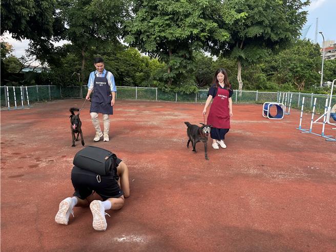 板桥动物之家志工李家齐（右）与周忠谚（左）纪录照顾毛宝贝的过程，将在婚礼上与亲友分享。（新北市动保处提供）