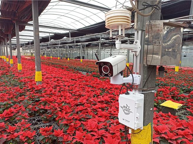 农业部桃园区农业改良场开发农业生产管理即时监控资讯系统，透过网路自动监测栽培环境，进行远端自动管理。（桃园区农改场提供／蔡明亘桃园传真）