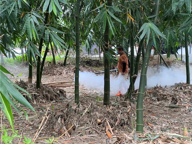 云林县登革热21日新增2例，全都在古坑乡。（本报资料照片）