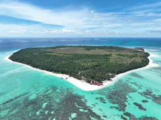 揭開信義企業集團「環灘島」面紗　復育珊瑚、海龜、造林有成