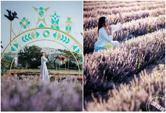 2023桃園仙草嘉年華11／25登場 「童話仙境」夢幻登場