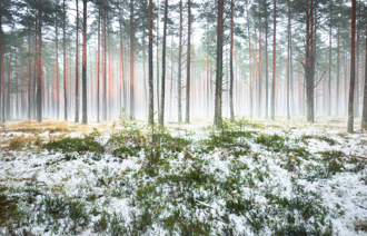 今晚10時入小雪節氣  4生肖注意健康 忌吃1類食物