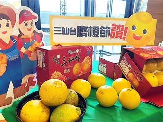 嘗鮮正當食！ 成功鎮旗魚季、臍橙節25日登場