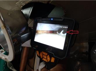 幼貓受困天花板夾層逾3日 新北動保處這麼救