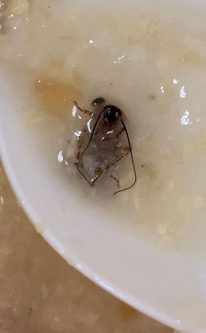 男子买了皮蛋瘦肉粥，发现料理面竟藏了一只死掉的蟑螂，让他感到噁心不已。（图／翻摄自脸书爆怨公社）