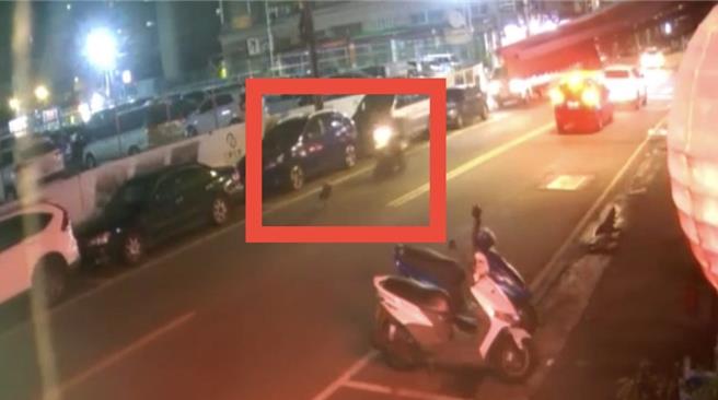 57岁王姓外送员疑似没注意到车道中的流浪狗，在未减速情况下直接衝撞上去。（新北市三峡警分局提供／刘玮晴新北传真）